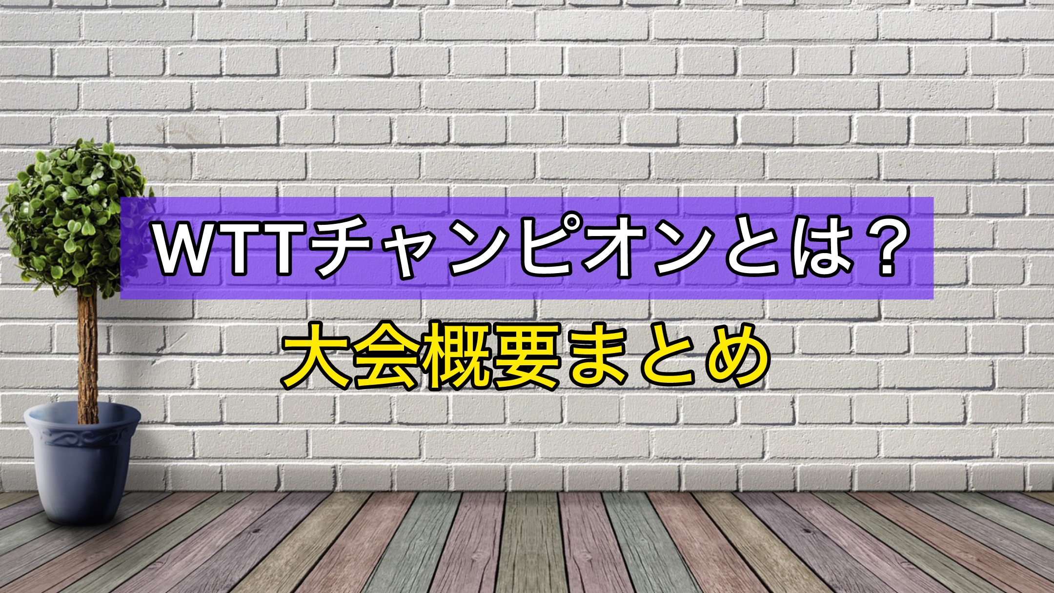 WTTチャンピオン　大会概要まとめ