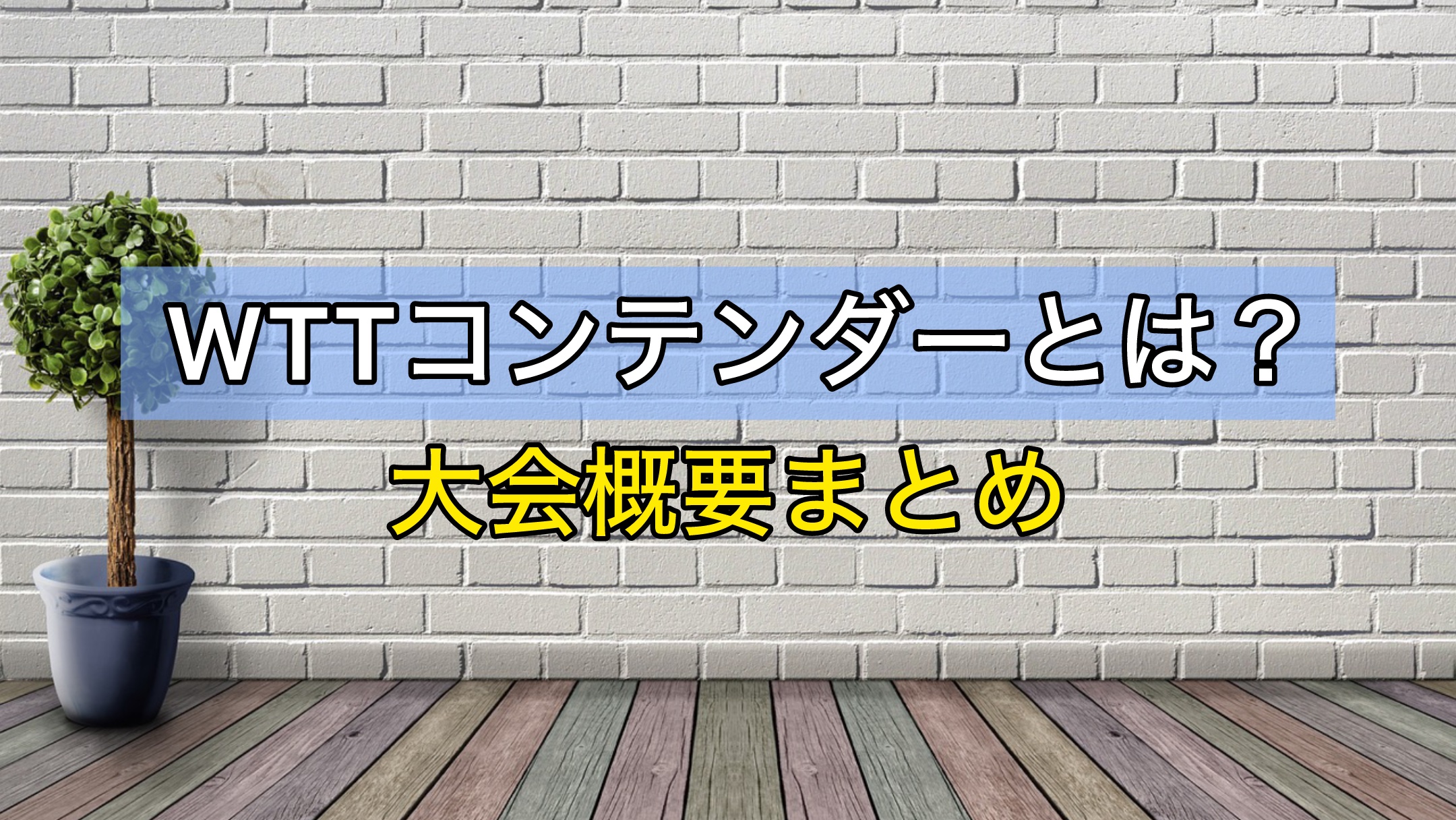 WTTコンテンダー　大会概要まとめ