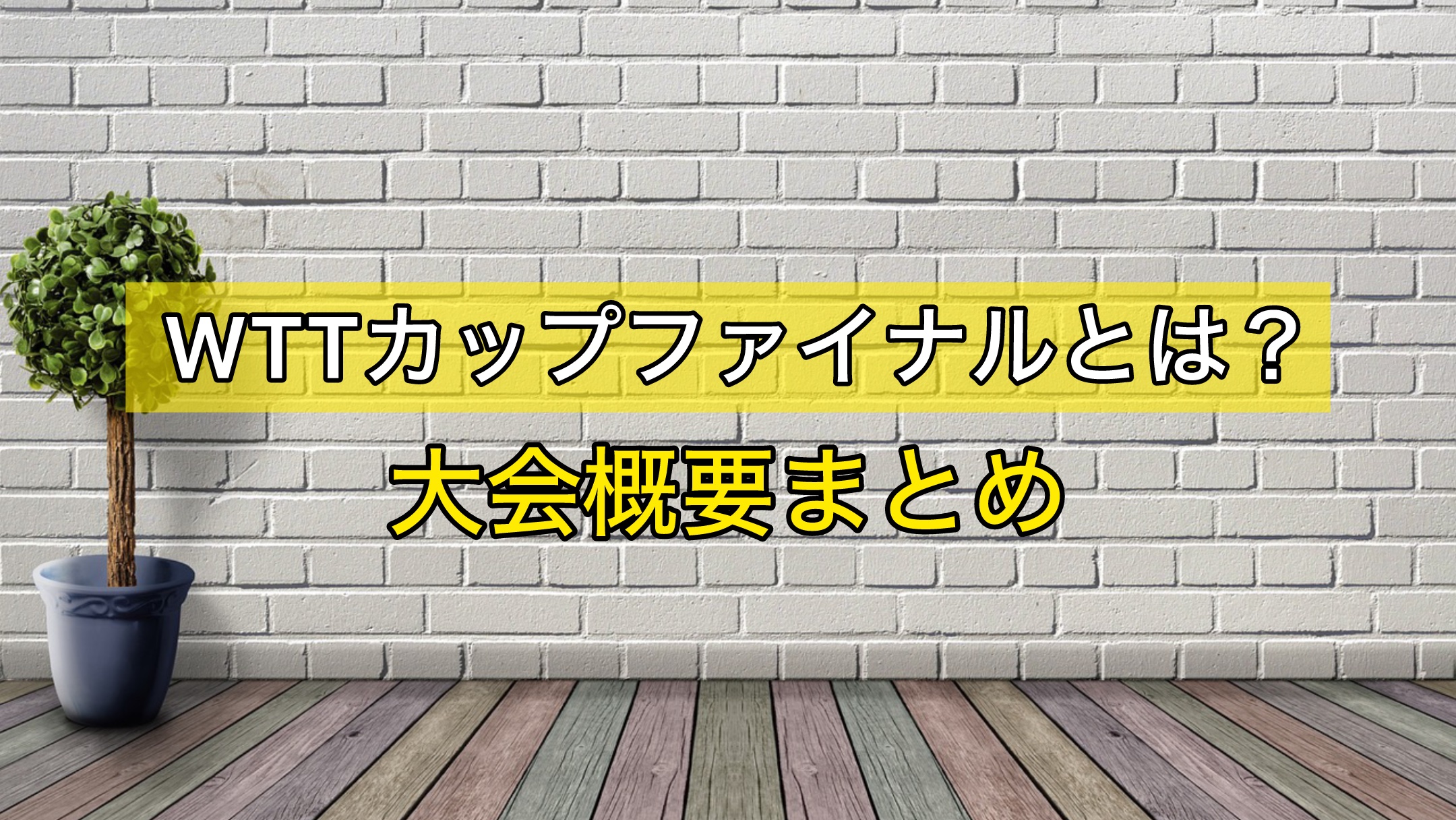 WTTカップファイナル　大会概要まとめ