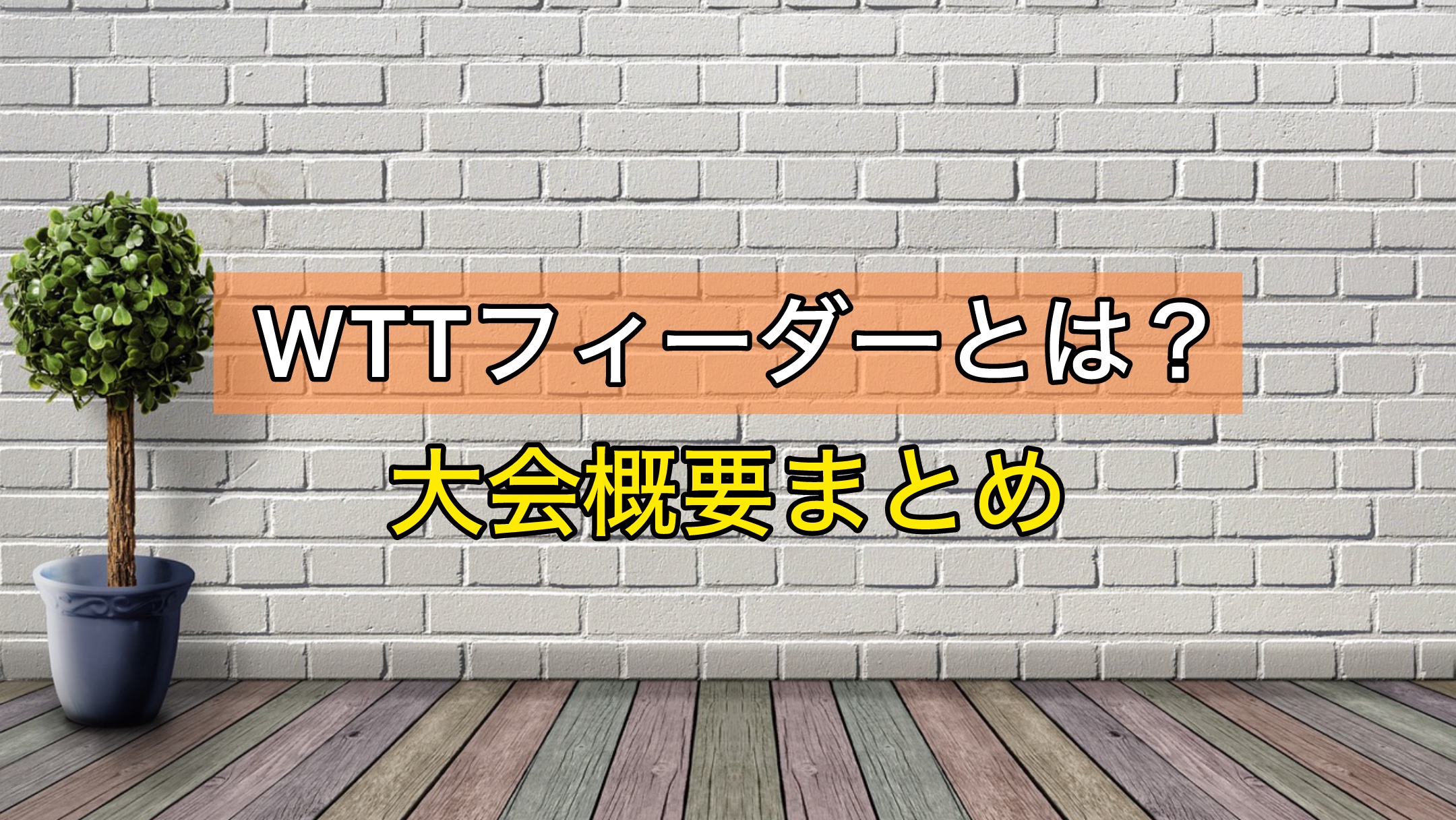 WTTフィーダー　大会概要まとめ