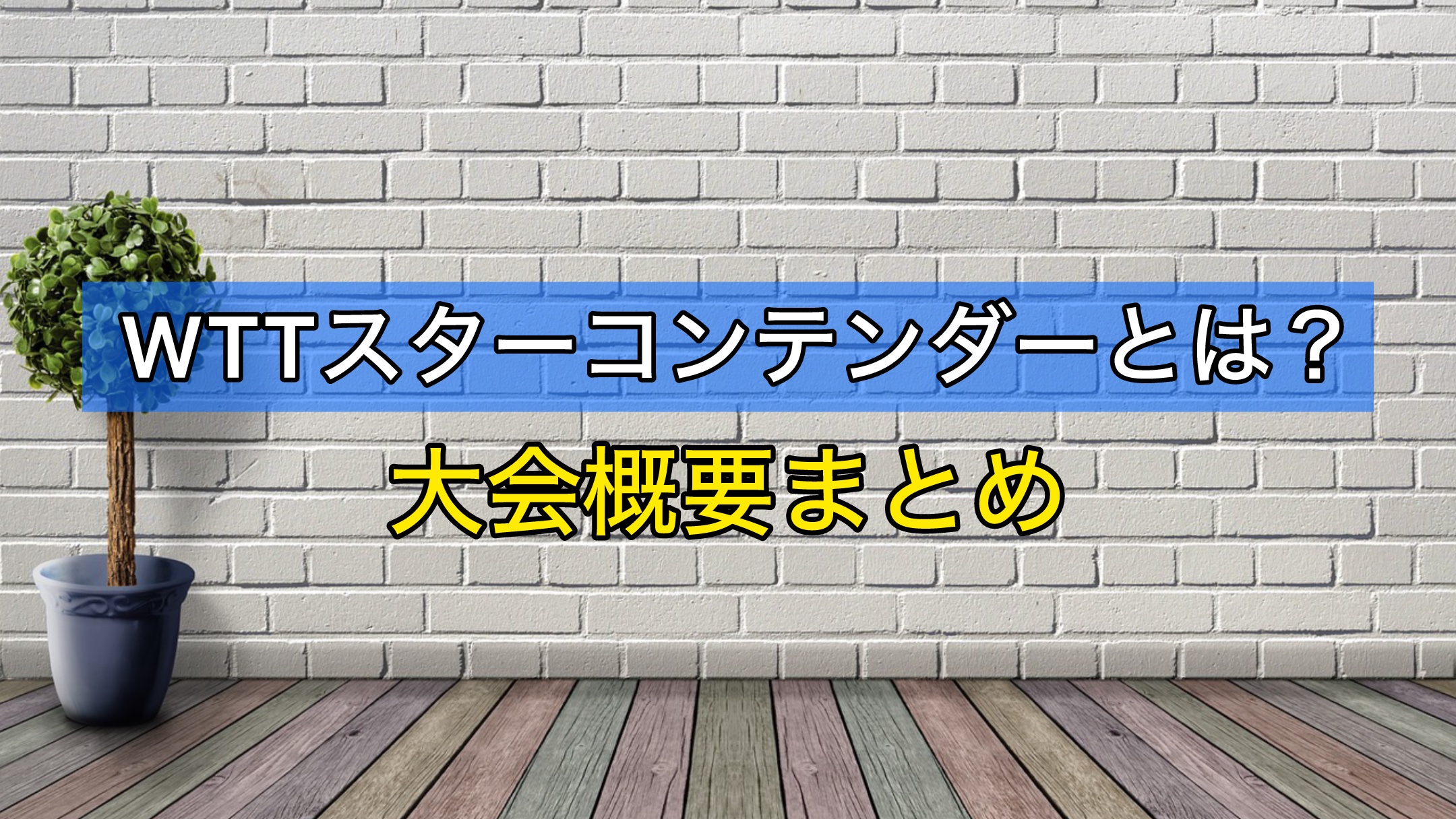 WTTスターコンテンダー　大会概要まとめ