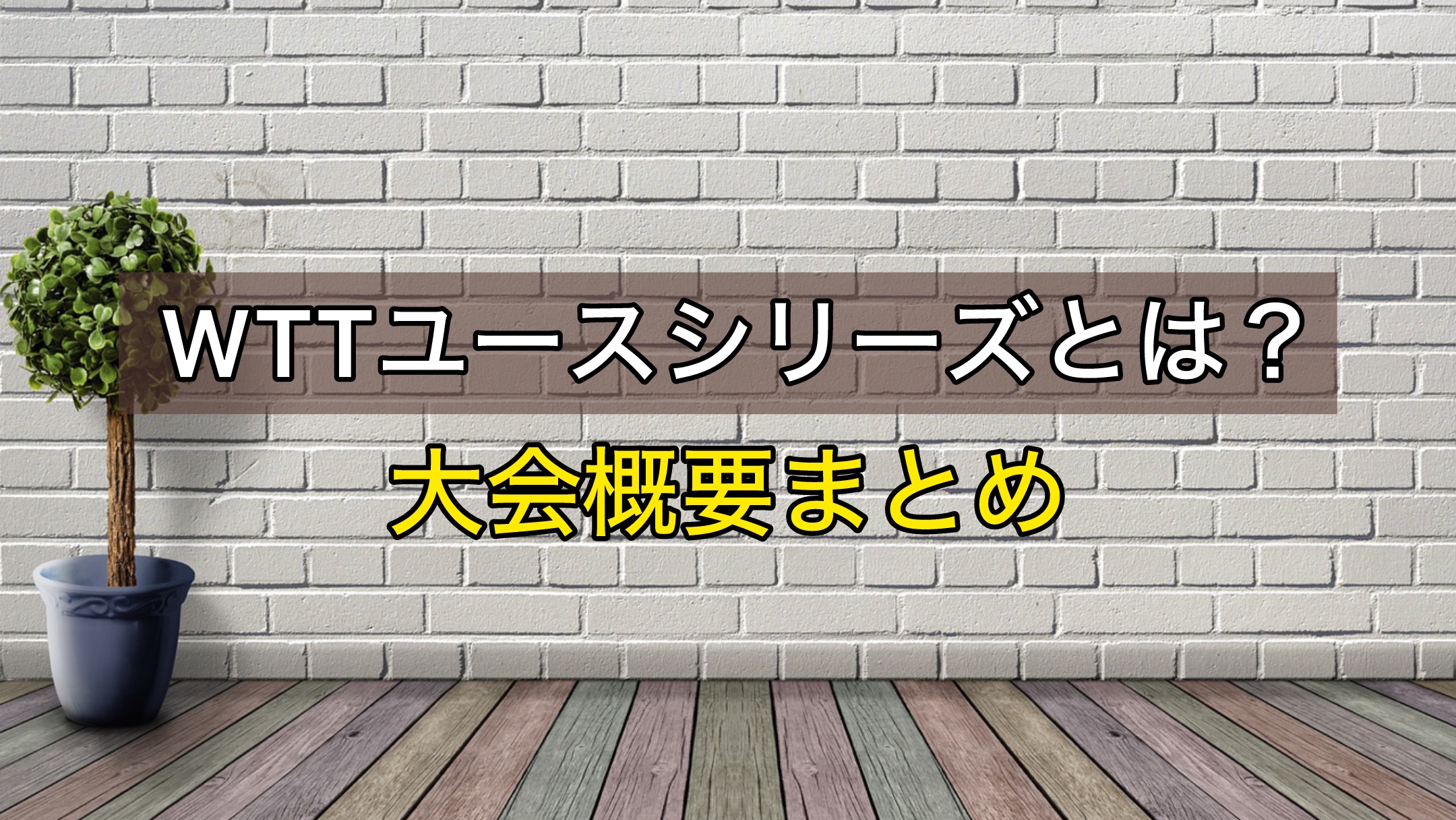 WTTユースシリーズ　大会概要まとめ